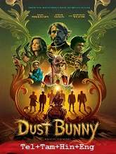 Dust Bunny